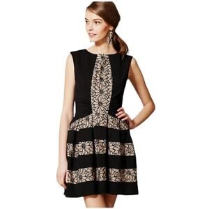 NWT Anthropologie Laced Strata Dress Ponte Floral Fit & Flare By Eva Franco SZ 6